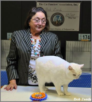 Fuzzy-Foot's Michael Angelo of KLA